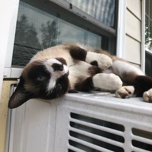 Meet your Posher, Lori